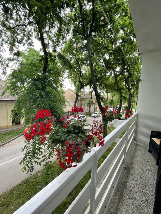 Apartman Venera Sombor Extérieur photo